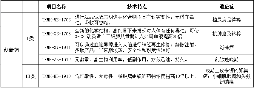 西安泰科迈医药科技股份有限公司----创新药开发